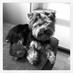 Piera (@piera_roa) Twitter profile photo Piera (@piera_roa) Twitter profile photo