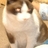 bozz_takano's profile image