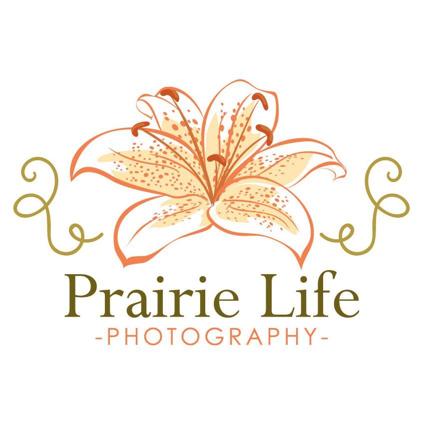 Prairie Life Photo