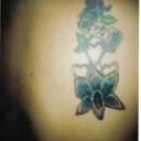 Stacey Shields - @Stayshiel - Twitter