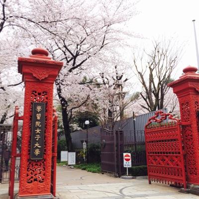 ごきげんよう！学習院女子大学裏千家茶道部です🌸 毎週火曜日、互敬会館（3号館）3階で日々活動しております！ ご相談やご質問はXやInstagramのDMにて承っております☺️ お気軽にフォロー&ご相談ください🙇‍♀️ Instagram→@urasenke_gwc #茶道部 #裏千家茶道部 #学女#gwc#和祭