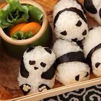 aka@リハビリ (@akaburn_megane) 's Twitter Profile Photo