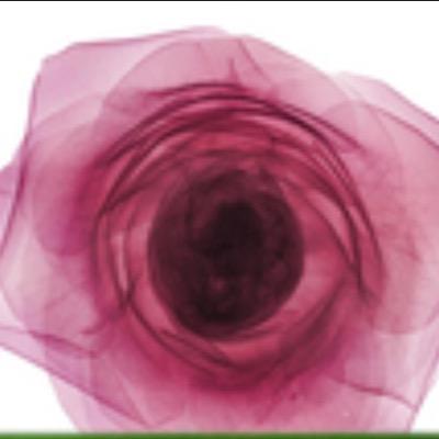 ArabiabintArabi's profile picture. العرب مساكنون لا مواطنون. الصمت قوت المقهورين فشاركهم قوتهم وشاركهم الغياب عن عالم ظالم. د.محمدالأحمري✨ قطر✨#كعبة_المضيوم