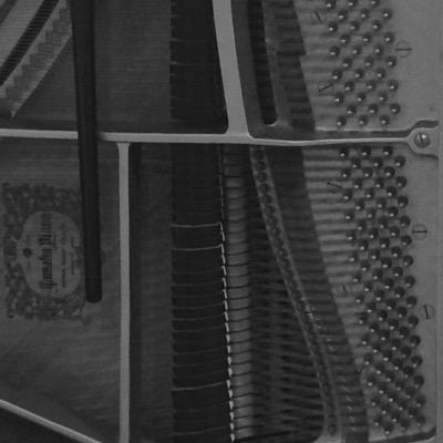 CeylonCindi's profile picture. (In no particular order) Singer. Mom. Hufflepuff. Songwriter. Vegetarian. Teacher. Answer seeker.