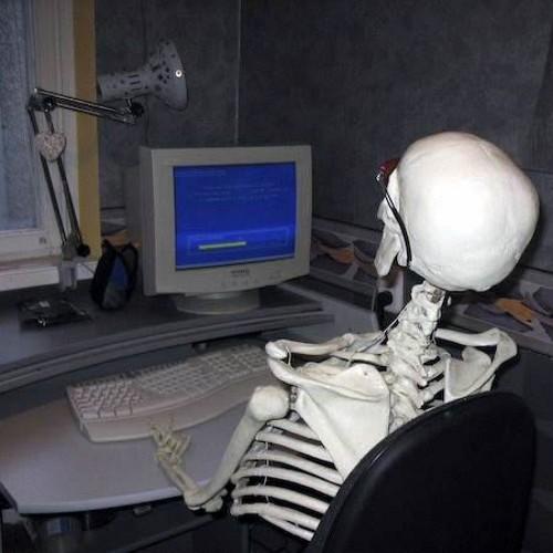 MiguelAn2900's profile picture. 