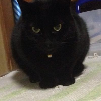 nakagyuki's profile picture. 25周年記念/( ☉д⊙) ポカーン