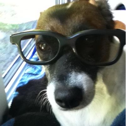 austinkatt's profile picture. I shall tweet my thoughts.