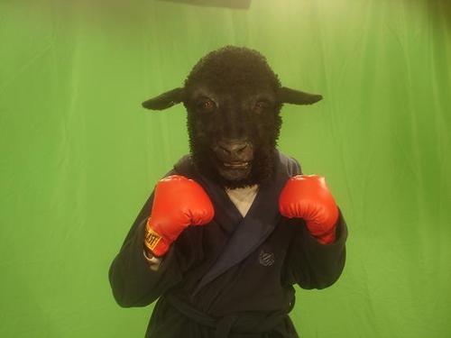 MisterGreat's profile picture. I am a romantic realist...