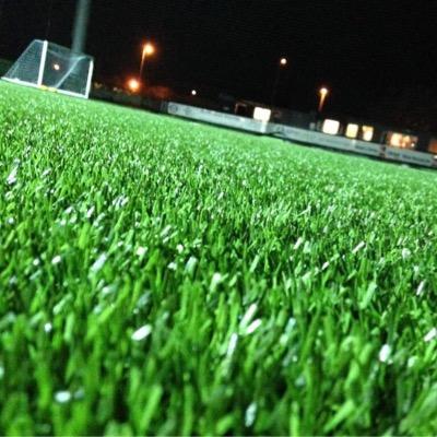Providing support and advice to clubs, schools and communities. Selecting the right sports surfaces - natural, re-inforced and artificial turf.