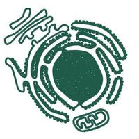 MRC-LMB Cell Biology (@cellbiol_mrclmb) 's Twitter Profile