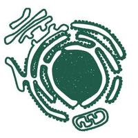 MRC-LMB Cell Biology(@CellBiol_MRCLMB) 's Twitter Profile Photo