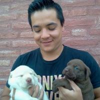 Martin Belizan (@mabelizan) 's Twitter Profile Photo Martin Belizan (@mabelizan) 's Twitter Profile Photo