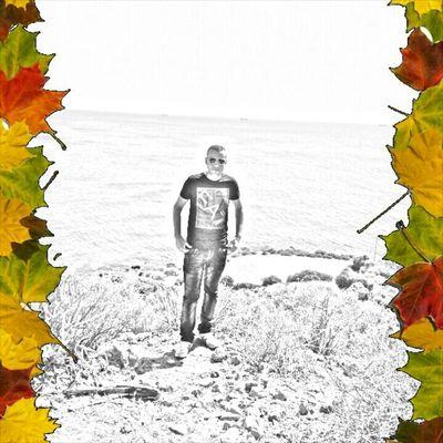 YassineRl's profile picture. 