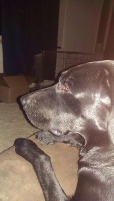 mattfons's profile picture. 