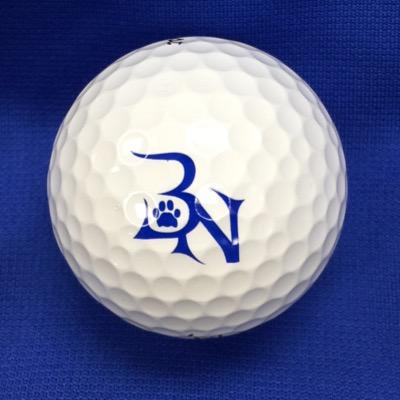 BNHSgolf Profile Picture