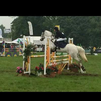 Affiliated show jumper looking for a sponsership                                                                      target -500 followers