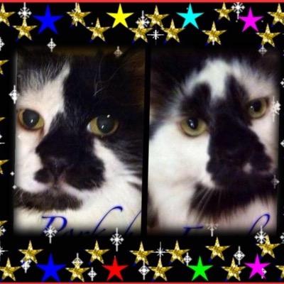 Pyewacket49 Profile Picture