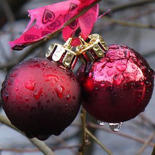 ListicleBusters's profile picture. Send testicle pics to listicle makers; stop endless clickbait for only $4.99.