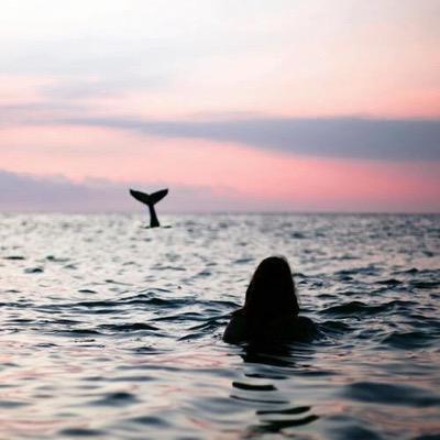 smielyteffi's profile picture. Hello gorgeous!