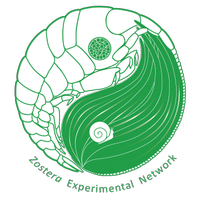 Zostera Expt Network (@zenscientists) 's Twitter Profile