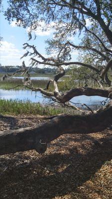 GrobertsGwen's profile picture. 