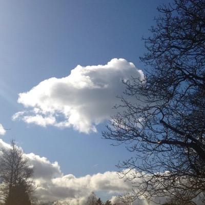 marthaglendin_'s profile picture. My views on Harry Potter are messianic.