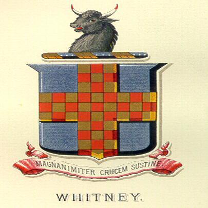 whitneyres's profile picture. Full-Service Residential Brokerage