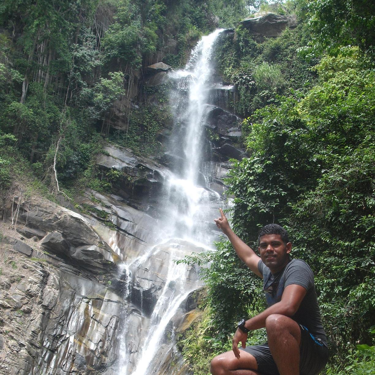 TiunaHR's profile picture. 