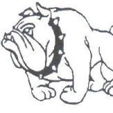 Strathmerton FNC (@strathybulldogs) 's Twitter Profile