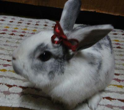 Happy Smile☆ さんのプロフィール写真