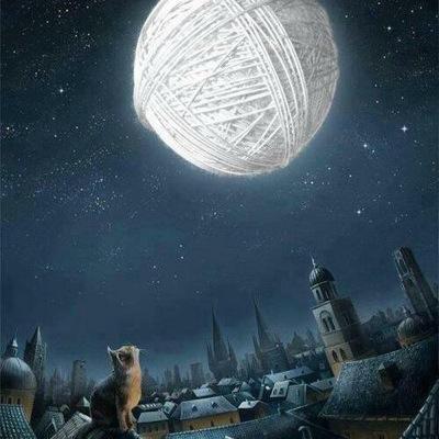 xarly1254's profile picture. 