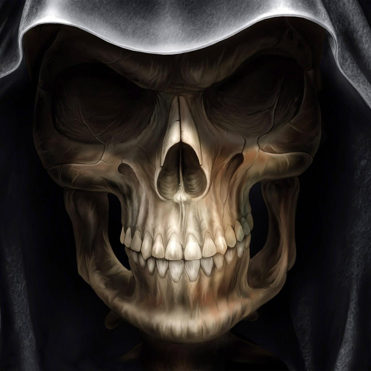 d3MONTools's profile picture. 