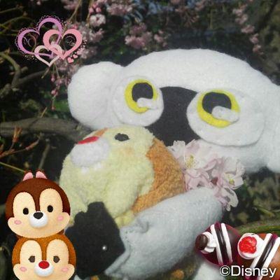 新井さっこ＊さんのプロフィール画像