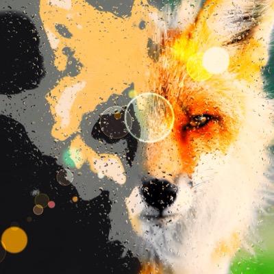 KHKGAMNG's profile picture. 