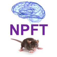 Máster en Neuropsicofarmacología Traslacional. Título Oficial de la Universidad Miguel Hernández de Elche.