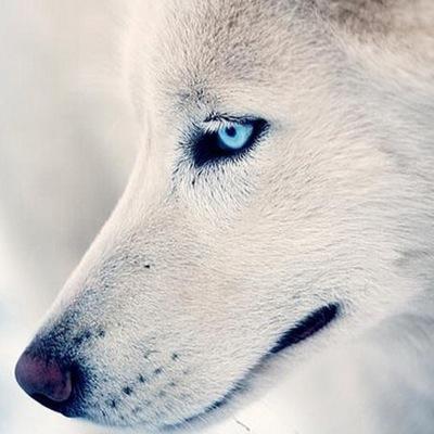 歌詞bot 2号機 Dotkqxv Twitter