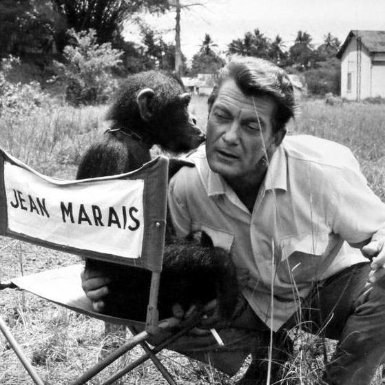 Twitter devoted to the wonderful Jean Marais. if you love Jean as much as me, press the follow button to get daily Jean quotes, videos and pictures!