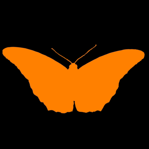 tlpdesign's profile picture. Web designer/developer