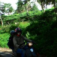 Sowang Pincang! (@ariansyahd) 's Twitter Profile