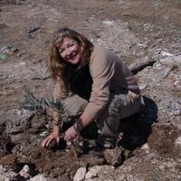 Carol Drinkwater(@Carol4OliveFarm) 's Twitter Profileg