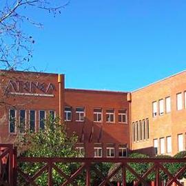 IES Atenea C.R. Profile