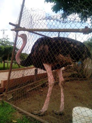 oretoyosi's profile picture. Coolest, I luv b myself n keep my head straight in all senario...could u please encourage me by hitting d follow button.