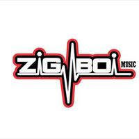 zig_boi (@zig_boi) 's Twitter Profile