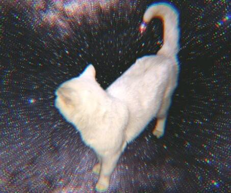 GregorChannel's profile picture. Быдловатый молодой человек.