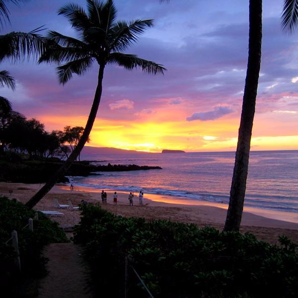 One Ohana PAC is the voice of over 27,000 vacation homeowners on Maui.