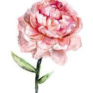 I love this planet, animals, music, books, art, flowers & kindness.
I'm a life-long follower of true crime & missing person cases.