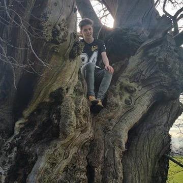 tylerwright2001's profile picture. 