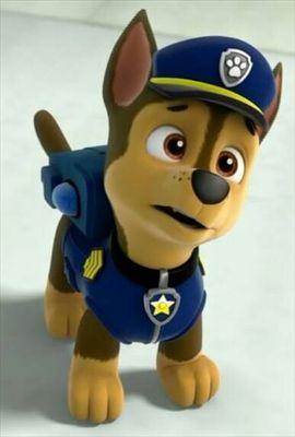 i am chase and i am a police pup and i love to work with Ryder and the pups and keep adventure bay safe and im in a relationship with SKYE PAWPATROL