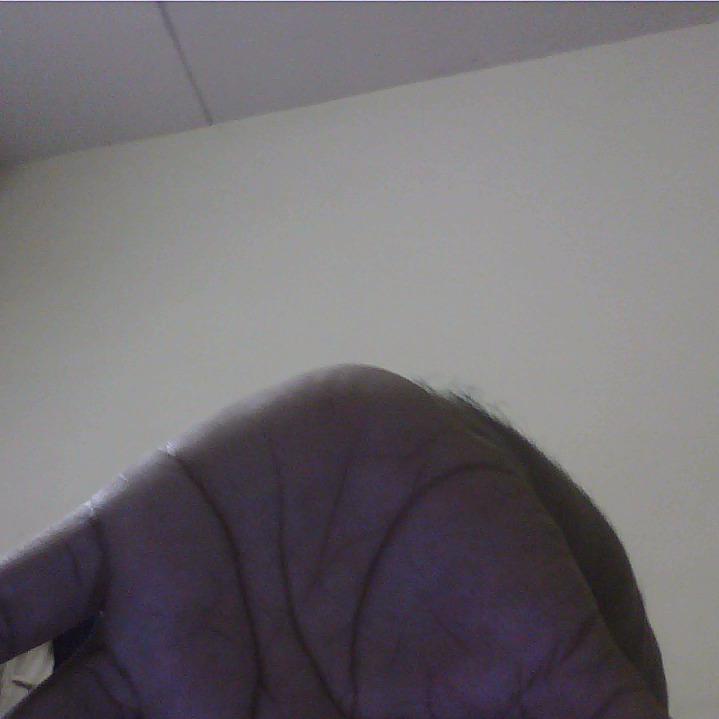 RossEdwardsindi's profile picture. 