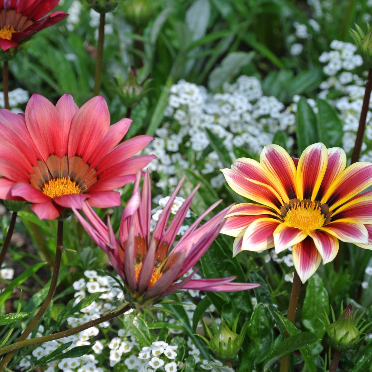 PeiranKathy's profile picture. 